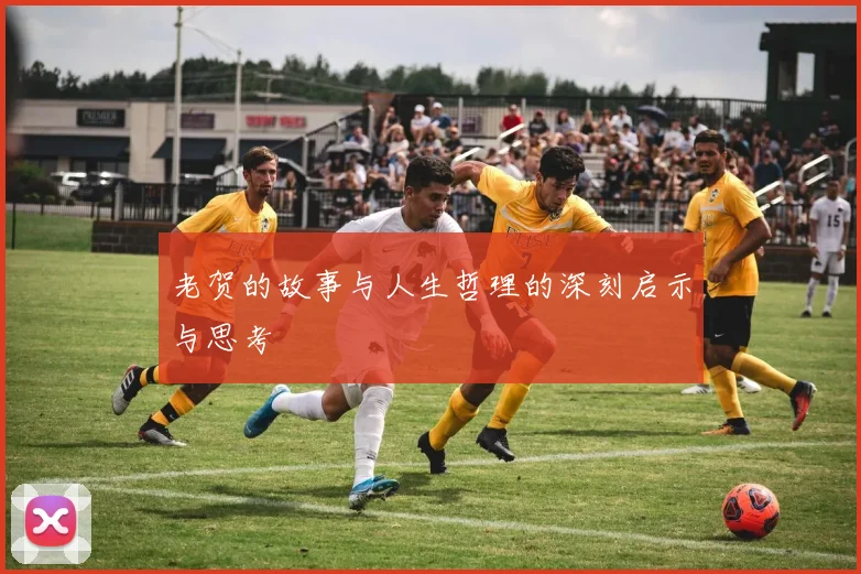 老贺的故事与人生哲理的深刻启示与思考